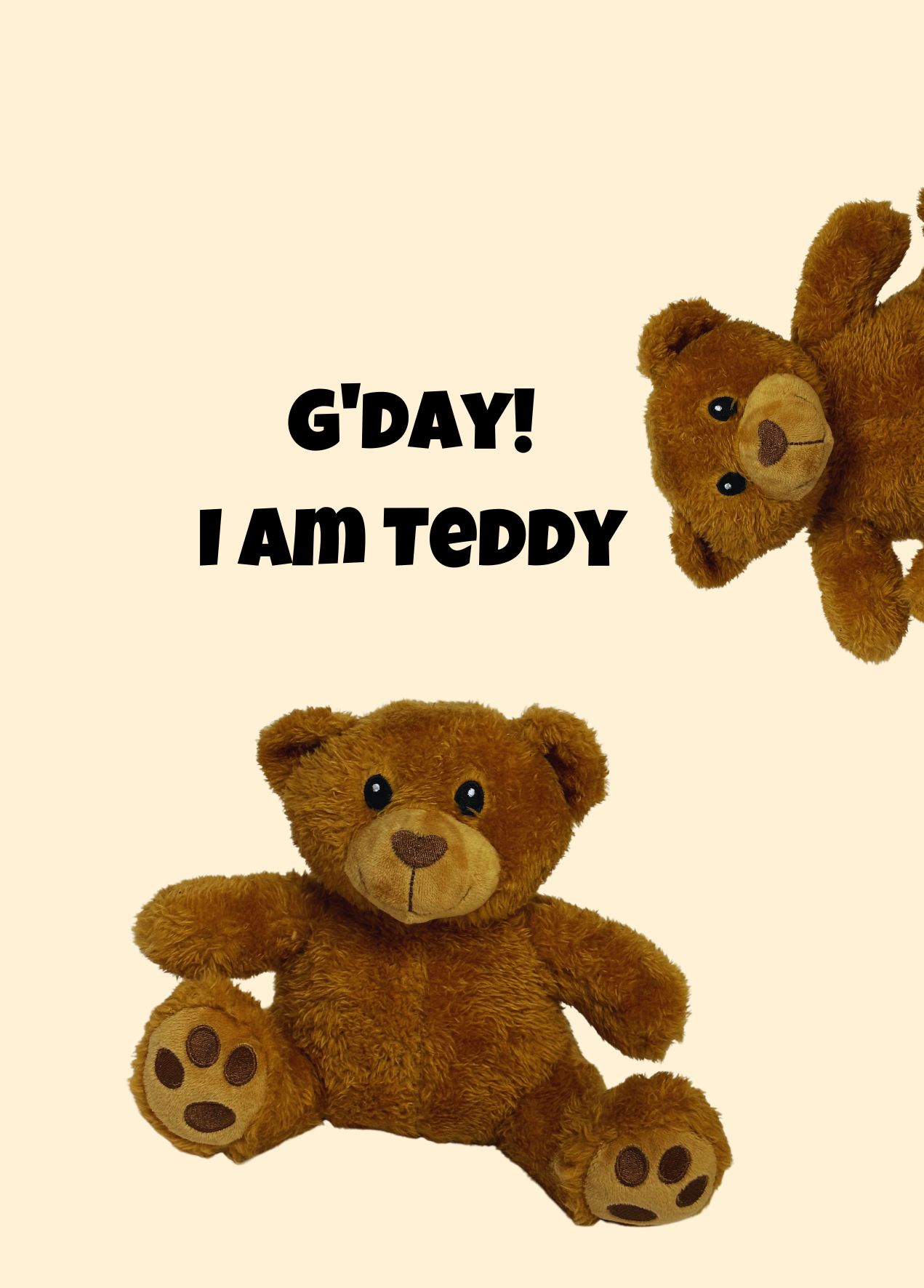 Teddy the Bear