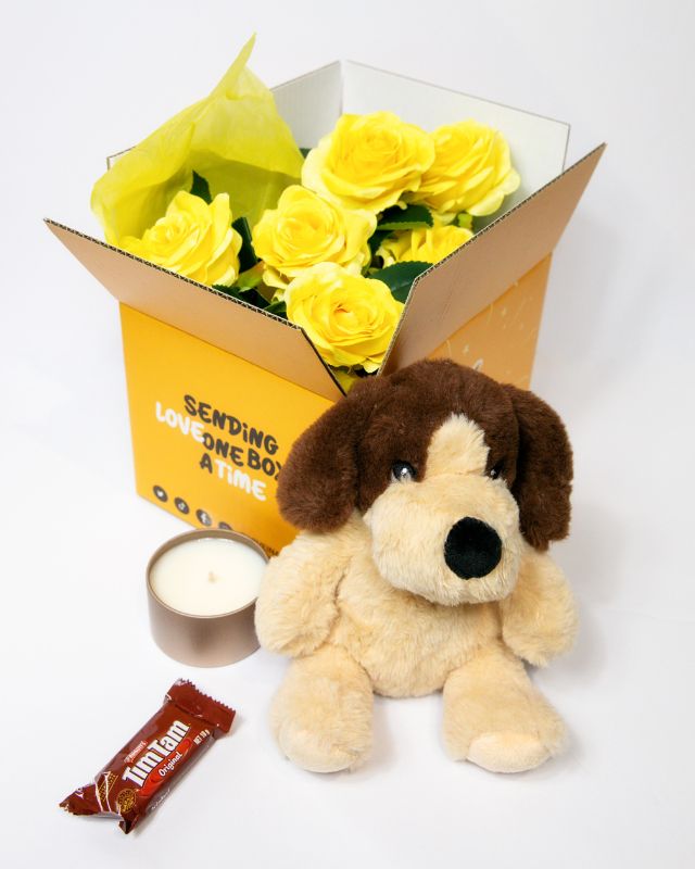 Plush toy dog with accessories