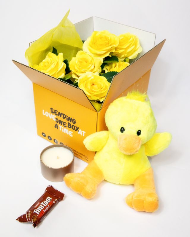 Plush toy duck with accessories