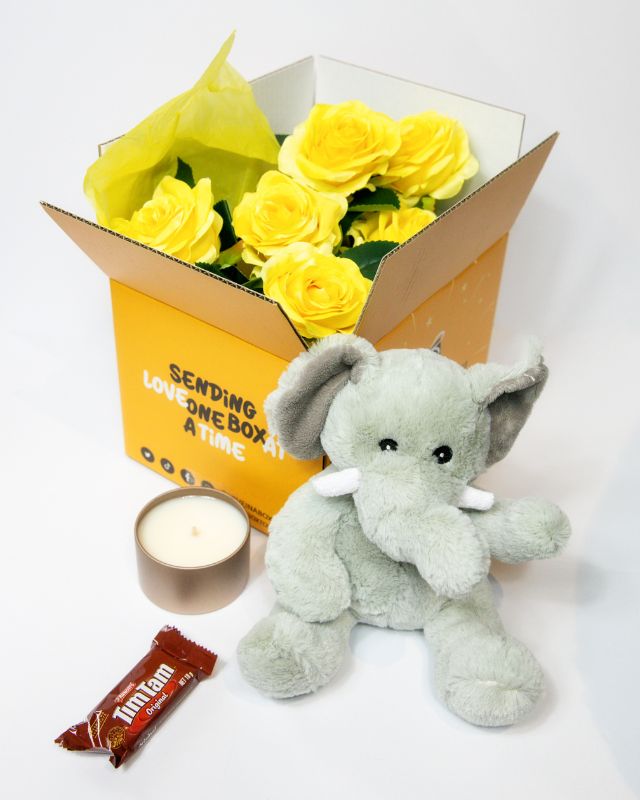 Plush toy elephant with accessories