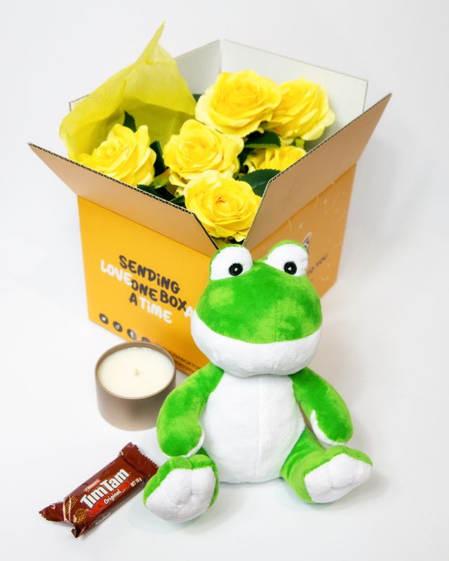 Plush toy frog with accessories
