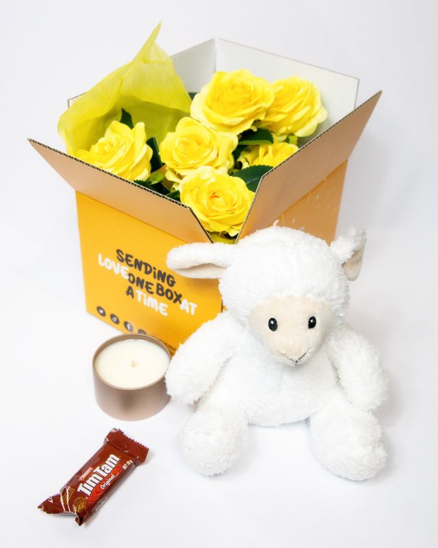 Plush toy lamb with accessories