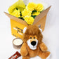 Plush toy lion with accessories