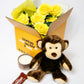 Plush toy monkey with accessories