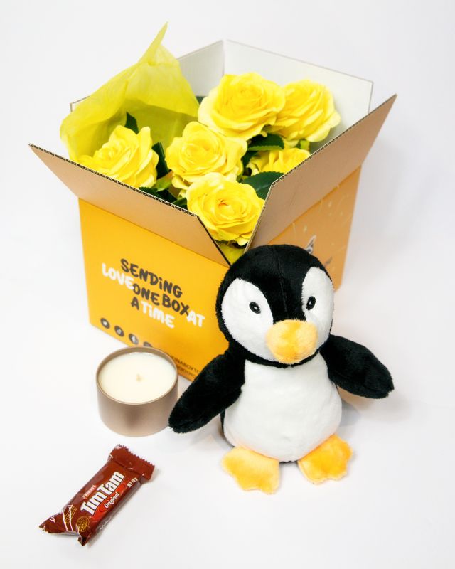 Plush toy penguin with accessories