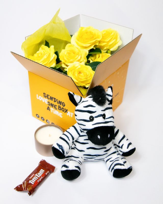 Plush toy zebra with accessories