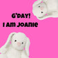 White Rabbit Bunny plush animal toys gift care package in Australia 