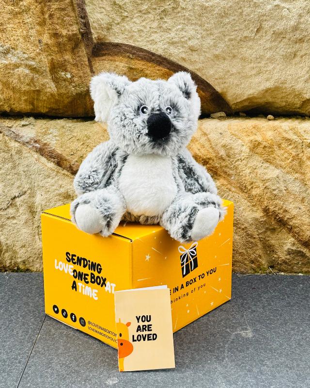 The Best Plush Animal Stuffed Toy Koala