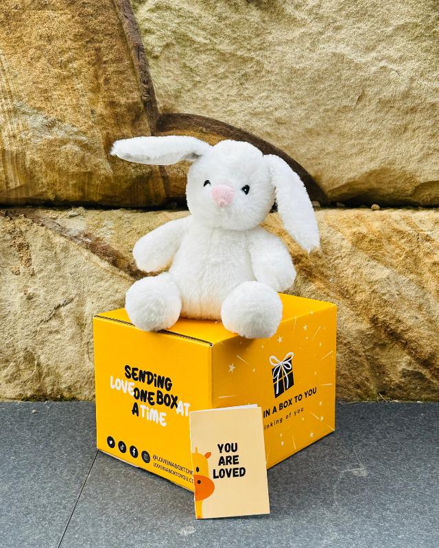The Best Plush Animal Stuffed Toy Rabbit Bunny