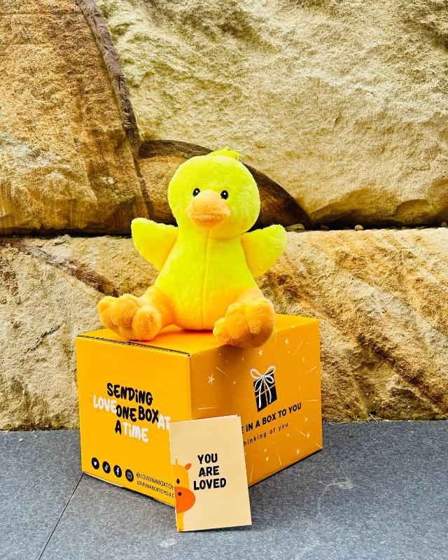 The Best Plush Animal Stuffed Toy Duck