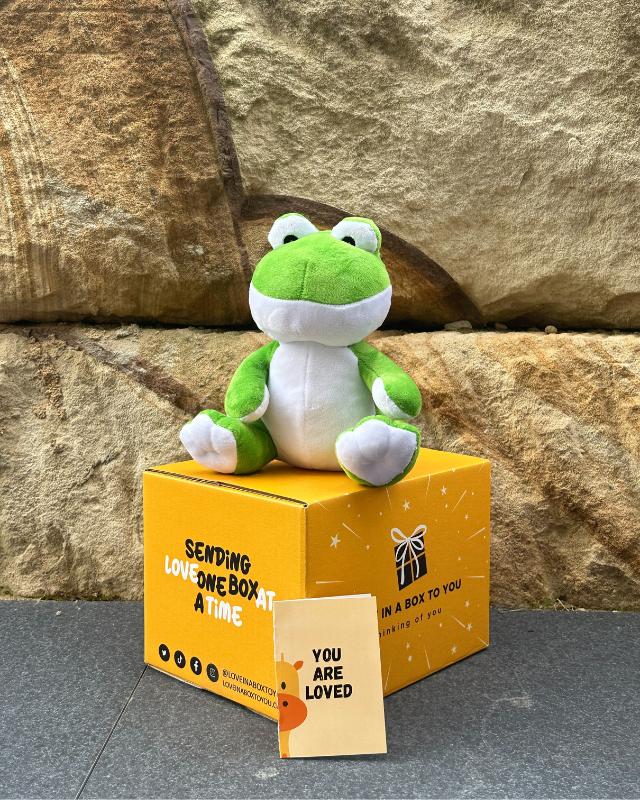 The Best Plush Animal Stuffed Toy Frog