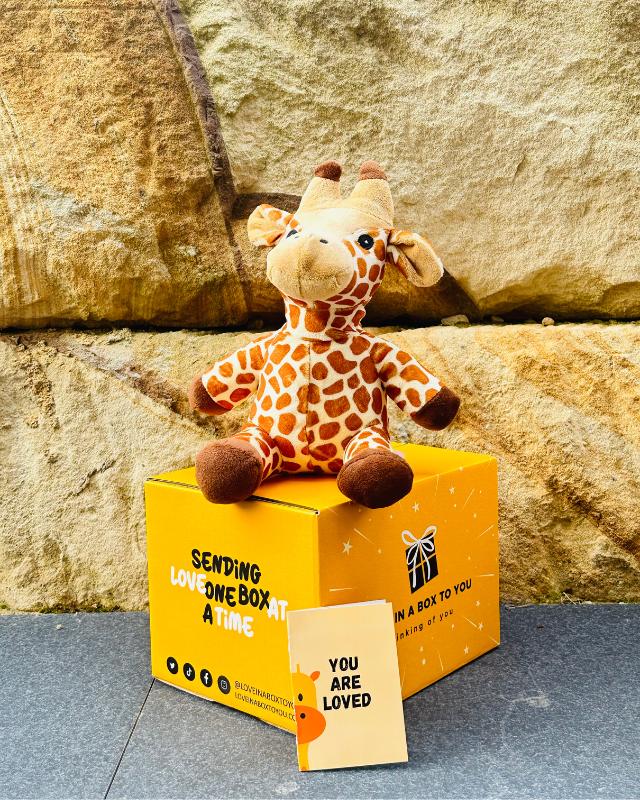 The Best Plush Animal Stuffed Toy Giraffe