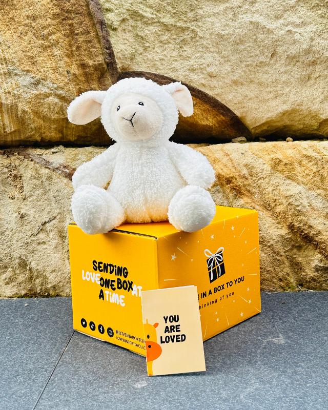 The Best Plush Animal Stuffed Toy Lamb