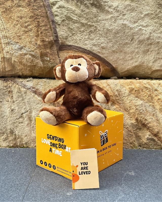 The Best Plush Animal Stuffed Toy Monkey