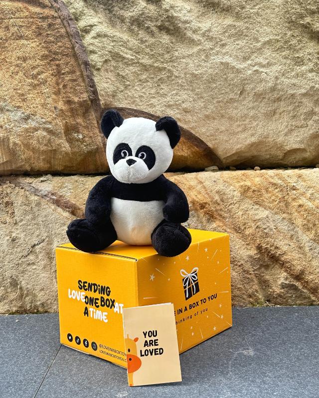 The Best Plush Animal Stuffed Toy Panda