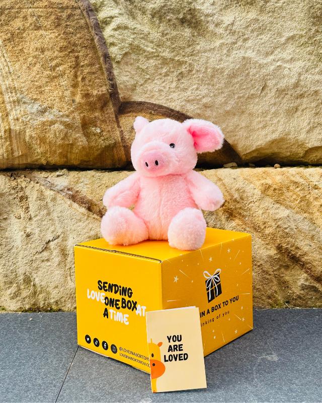 The Best Plush Animal Stuffed Toy Pig
