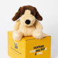 Brown Dog plush animal toys gift care package in Australia 