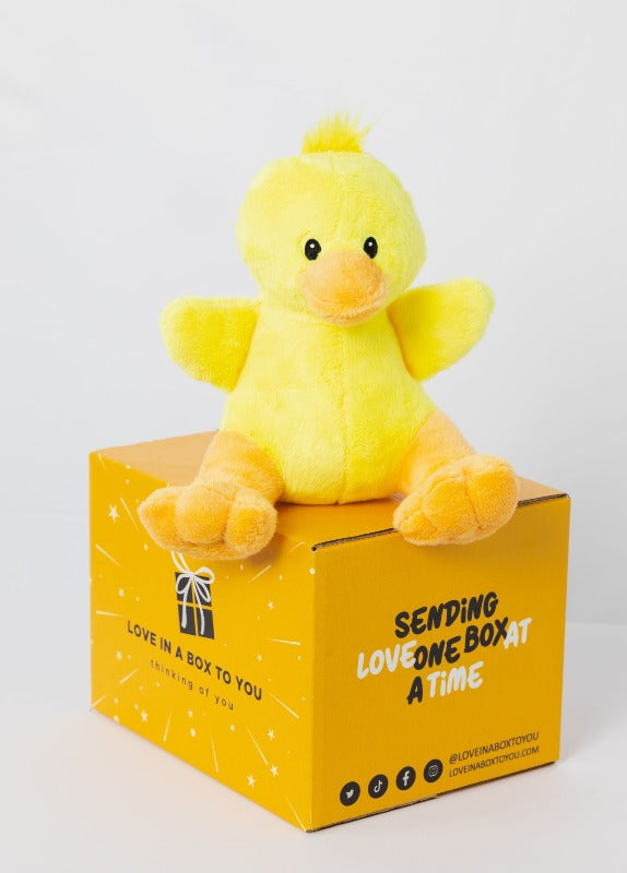 Yellow Duck plush animal toys gift care package in Australia 