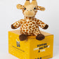 Beautiful Giraffe plush animal toys gift care package in Australia 
