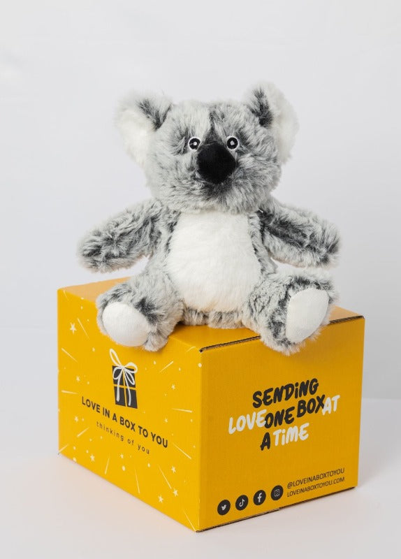Plush Animal Toy Koala Care Package Native Australian Animal 