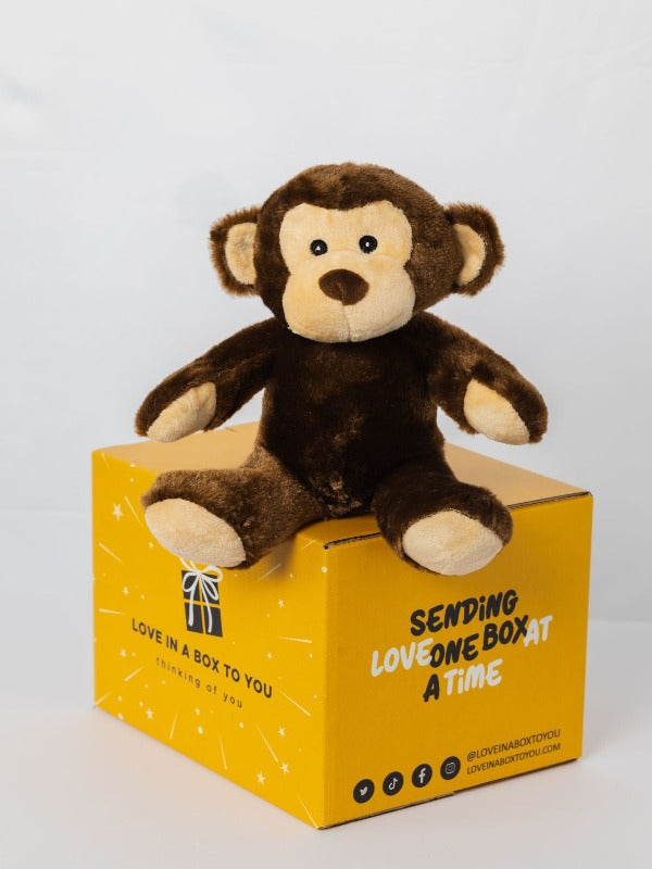 Brown Monkey plush animal toys gift care package in Australia 