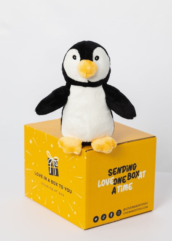 Cute Penguin plush animal toys gift care package in Australia 