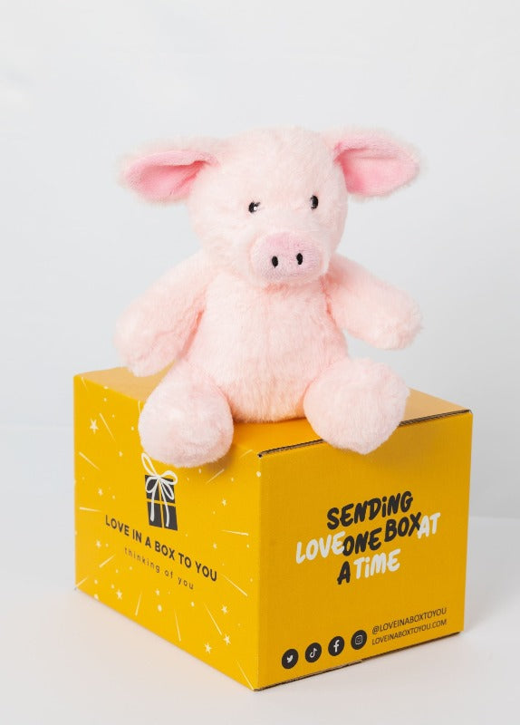 Pick Pig plush animal toys gift care package in Australia 